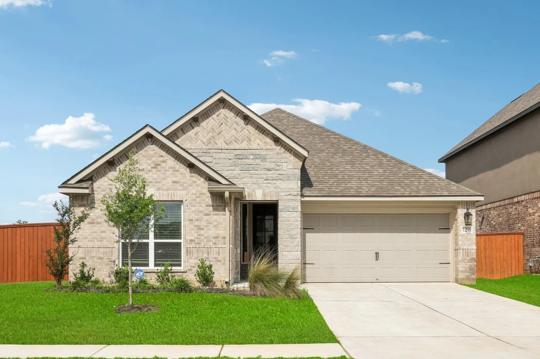 Photo of 120 Nandina PATH