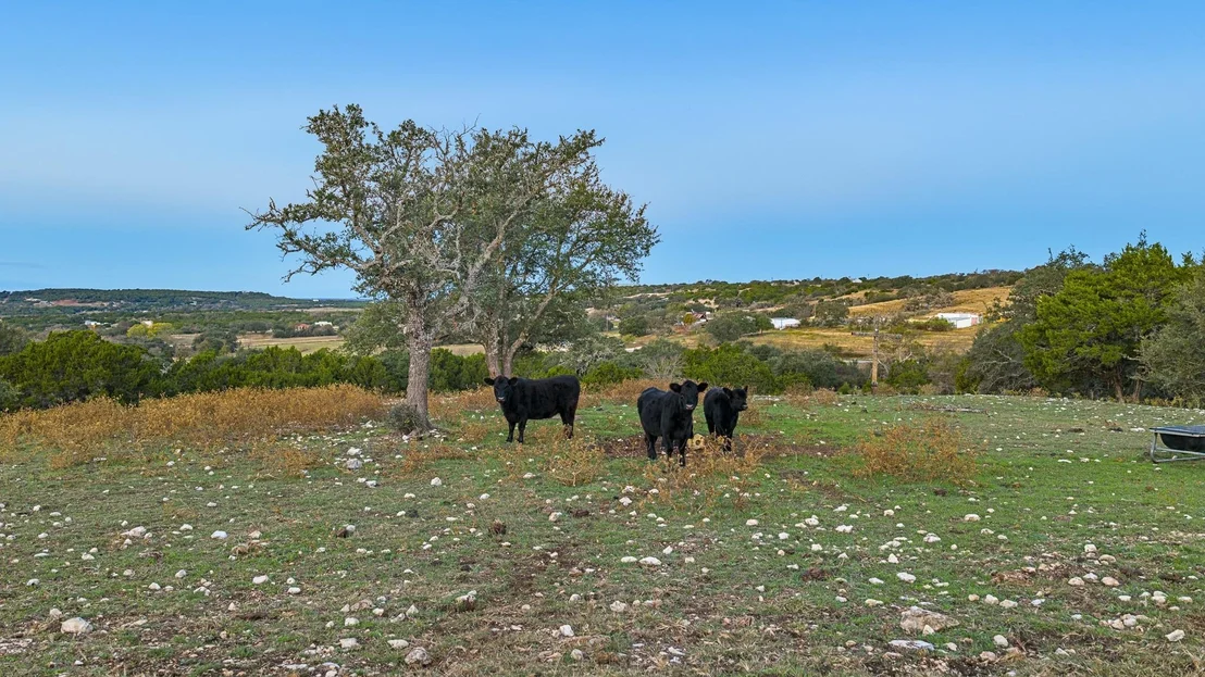 Photo of 4237 County Road 330 RD