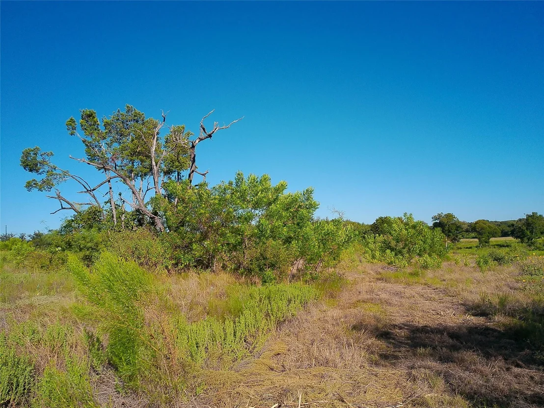 Photo of lot 55 Serenity Springs DR