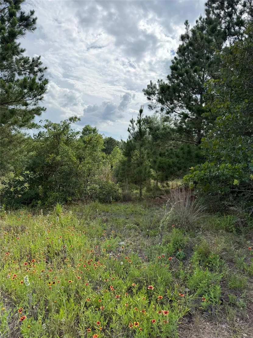 Photo of Lots 89-90 Pintail LN