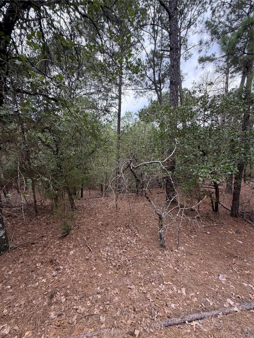 Photo of Lots 216 and 217 Hekili DR