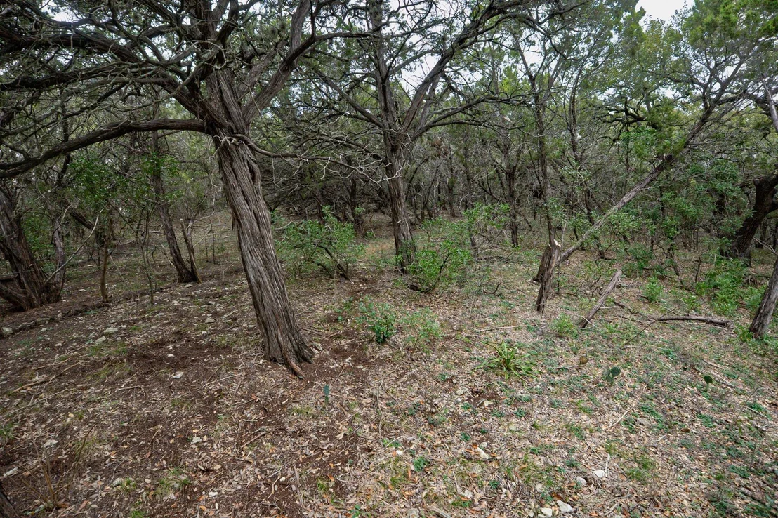 Photo of 101 Blanco River Ranch