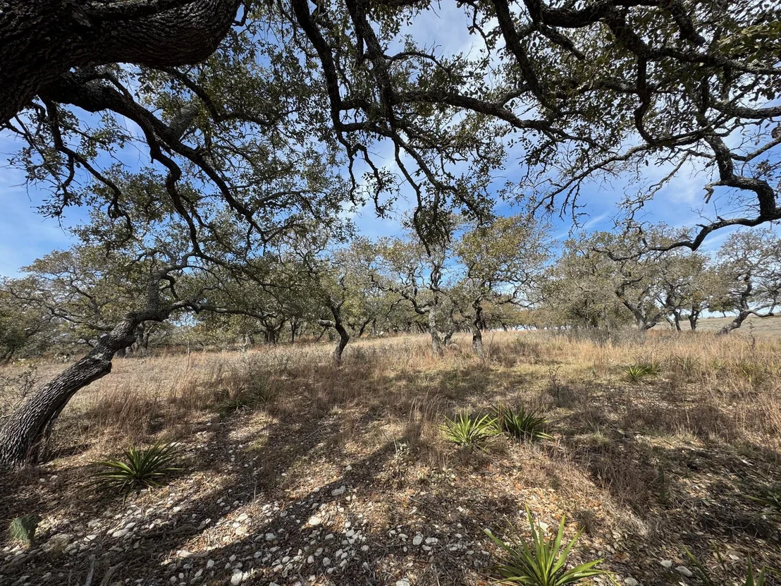 Photo of Lot 46 Eland LN