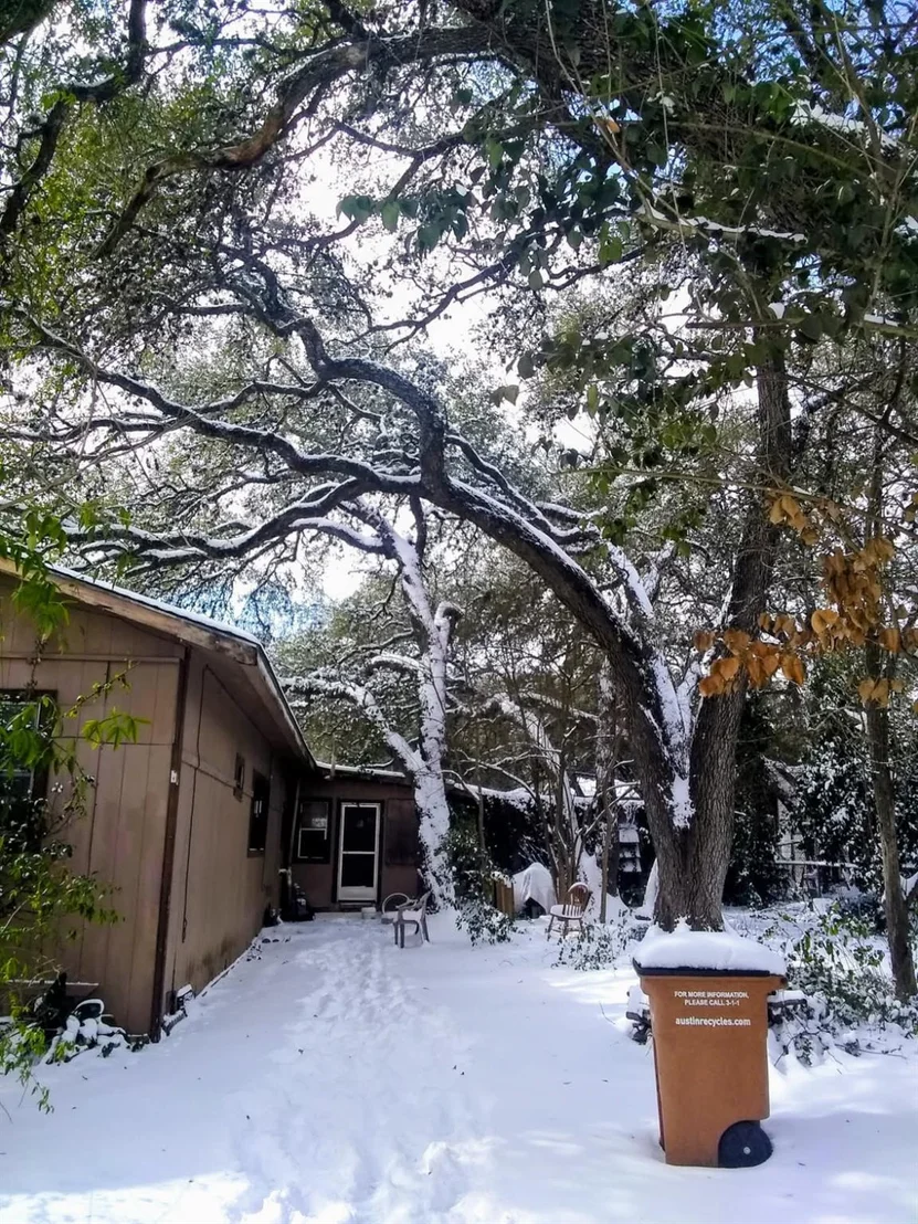 Photo of 8002 Persimmon TRL