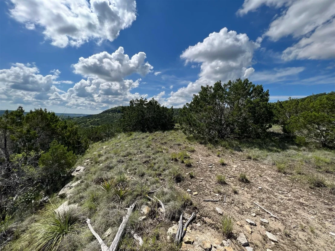 Photo of Lot 653 Wagon Wheel TRL