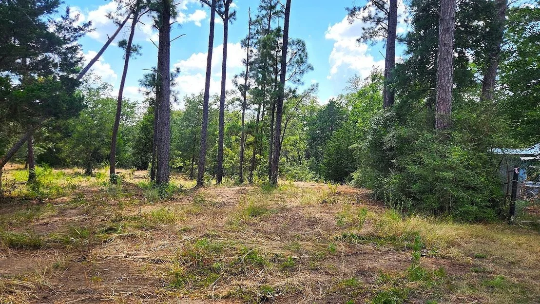 Photo of TBD Modock DR