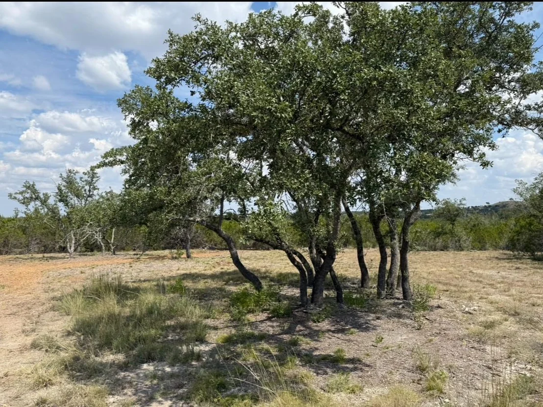 Photo of Lot 36 - 6.65 Acres - Round Mountain Reserve DR