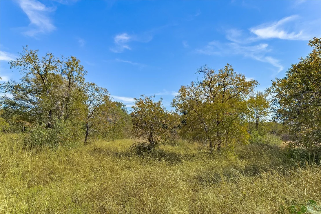 Photo of 241 Lehne LOOP