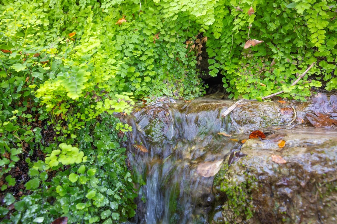 Photo of 000 River RUN