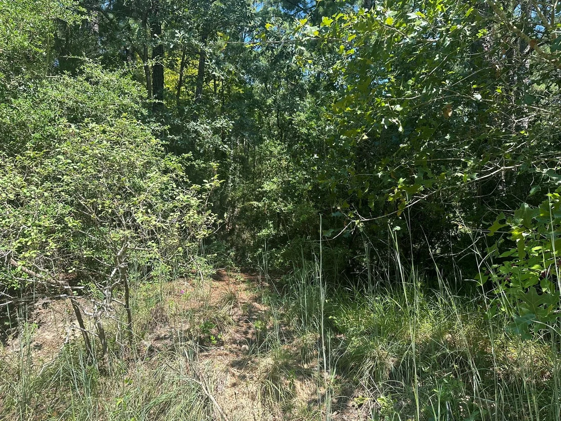 Photo of LOT 46 Kamakoa LN