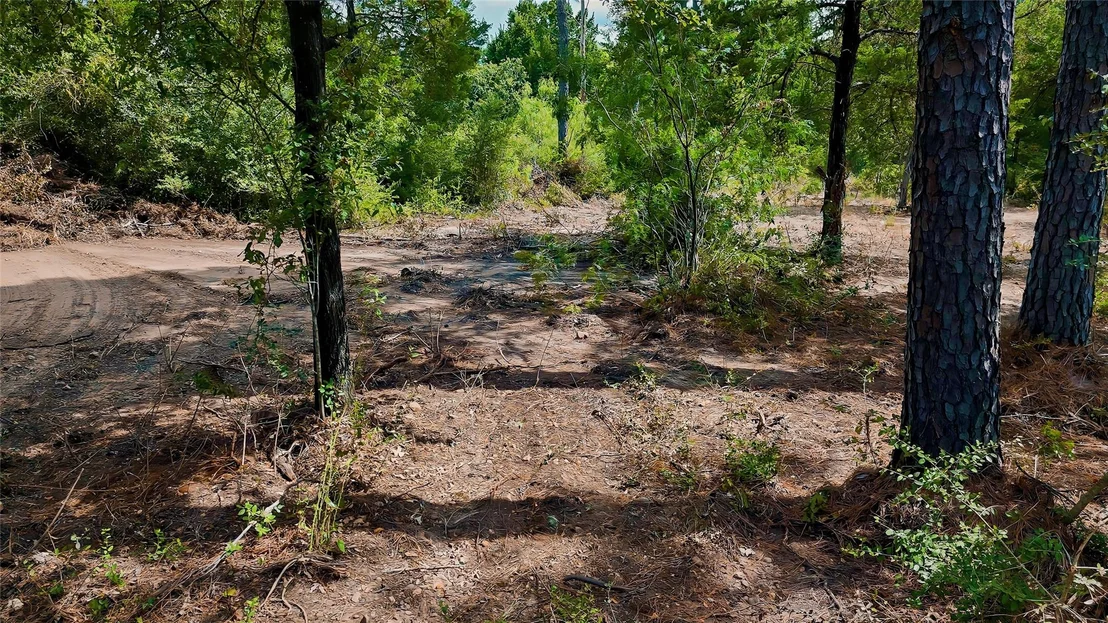 Photo of TBD Modock DR