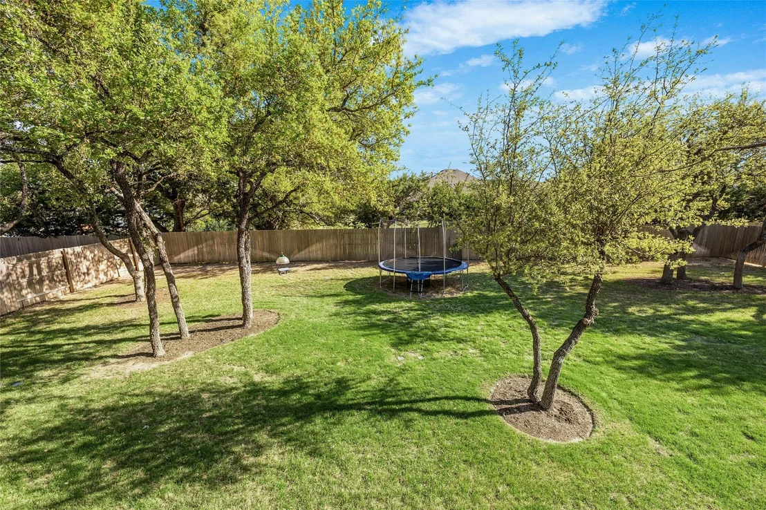 Photo of 216 Indian Grass CV