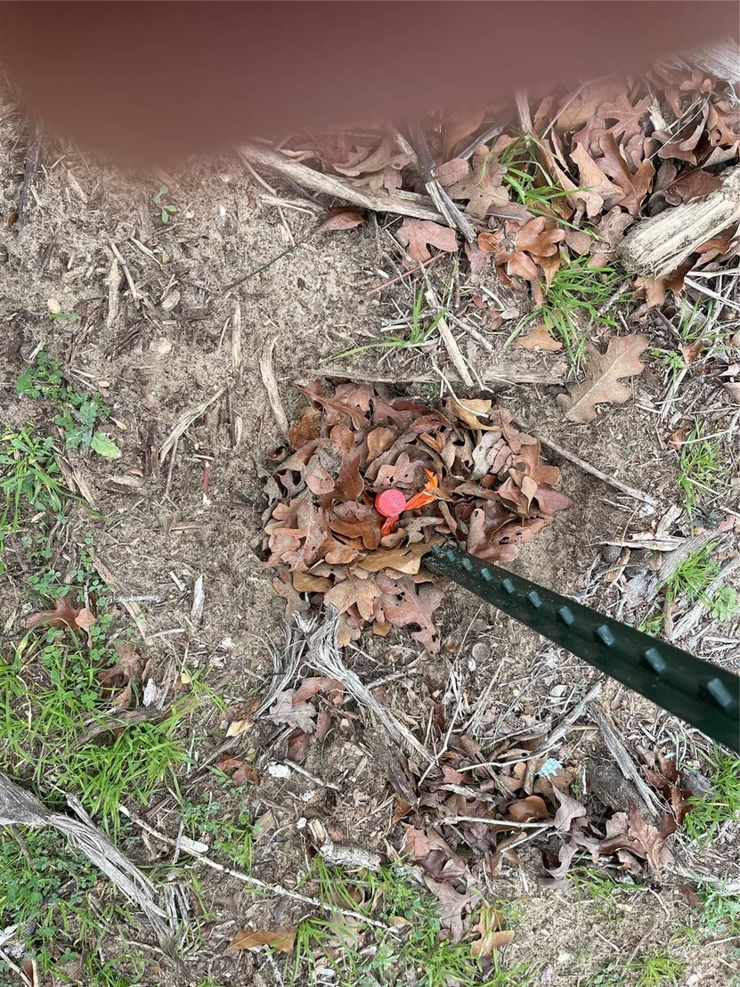 Photo of 1320 Cypress Trail LOOP