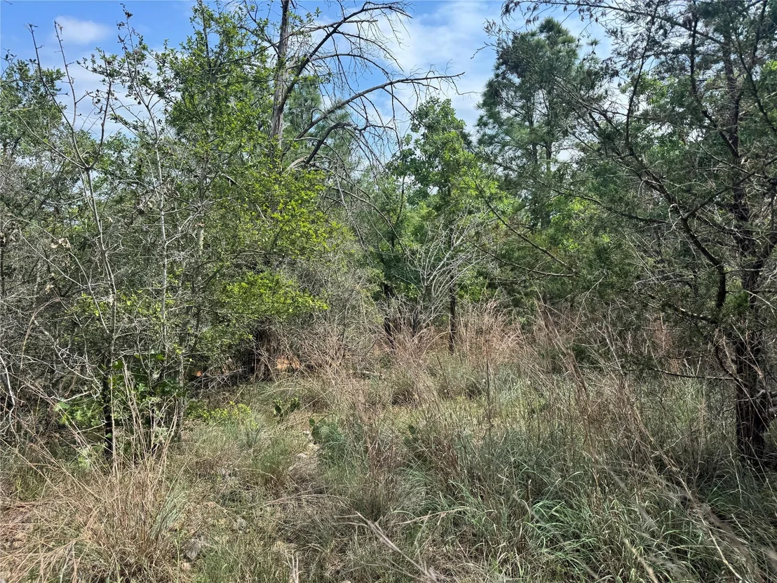 Photo of Lot 1263 Hanauma DR