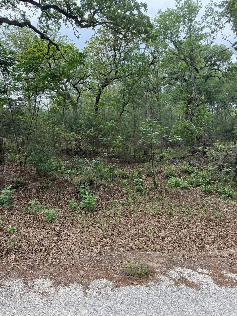 Photo of lot 70 Kaelepulu DR