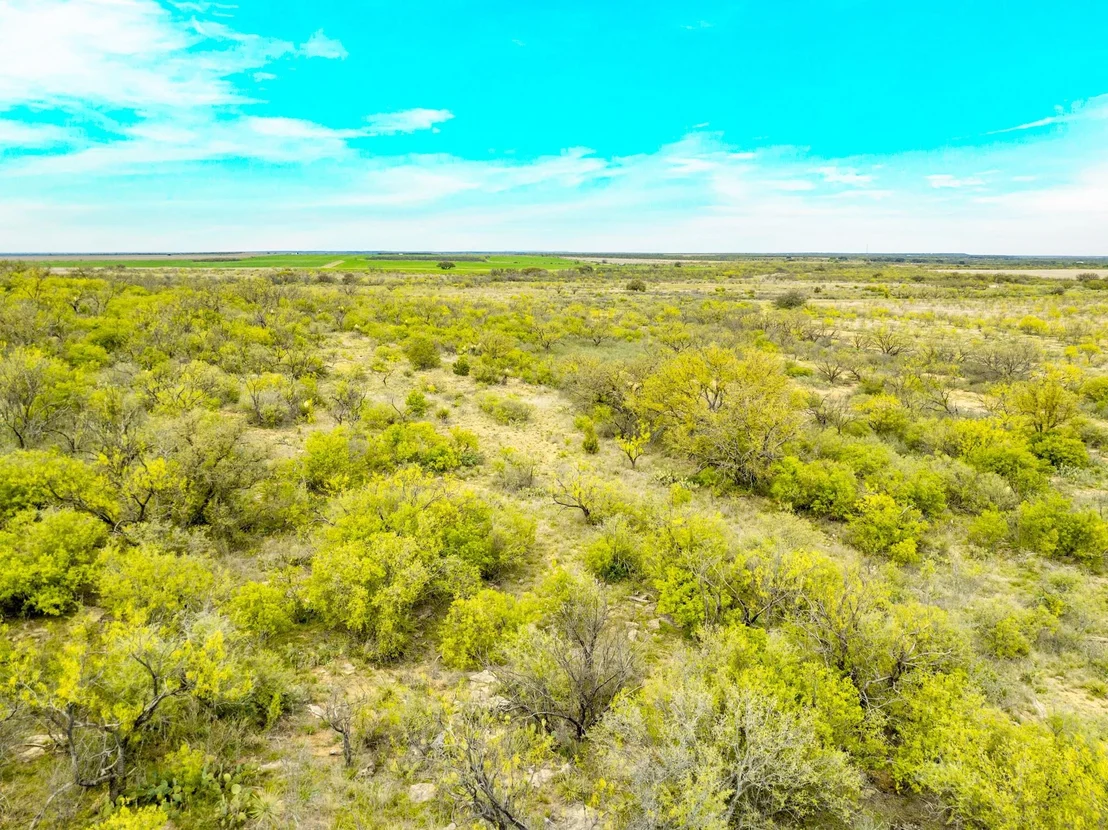 Photo of 117 Private Road 541