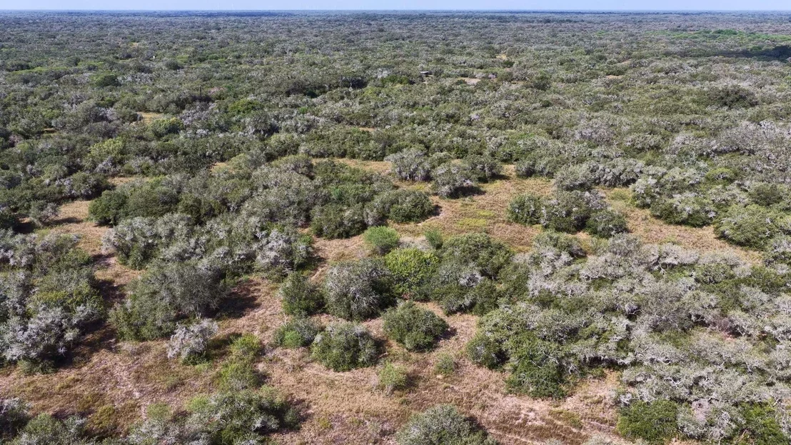 Photo of 251 Old Goliad RD