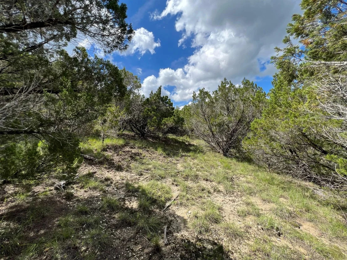 Photo of Lot 183-A Suncrest TRL