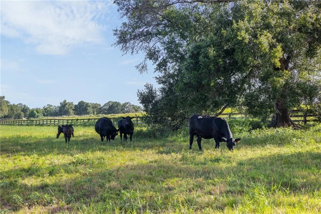 Photo of 4845 County Road 119