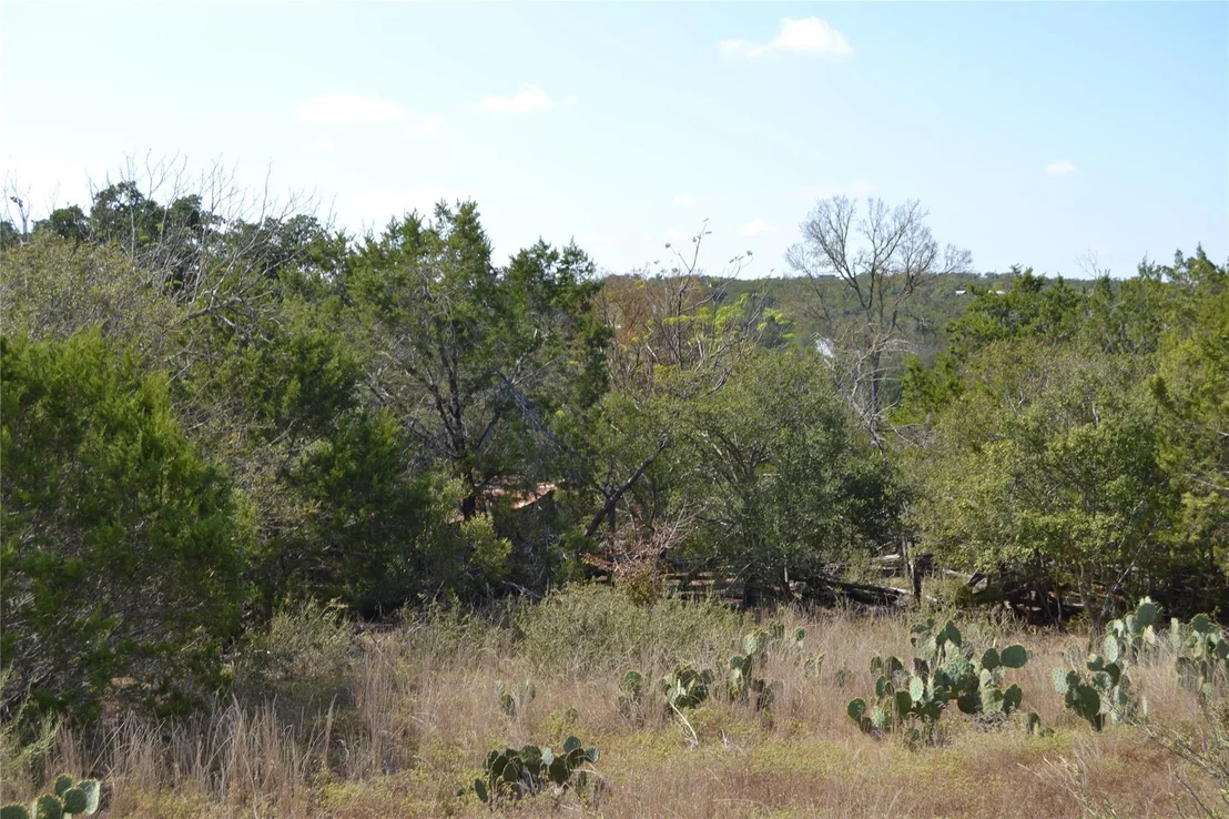 Photo of 8409 Appaloosa RUN