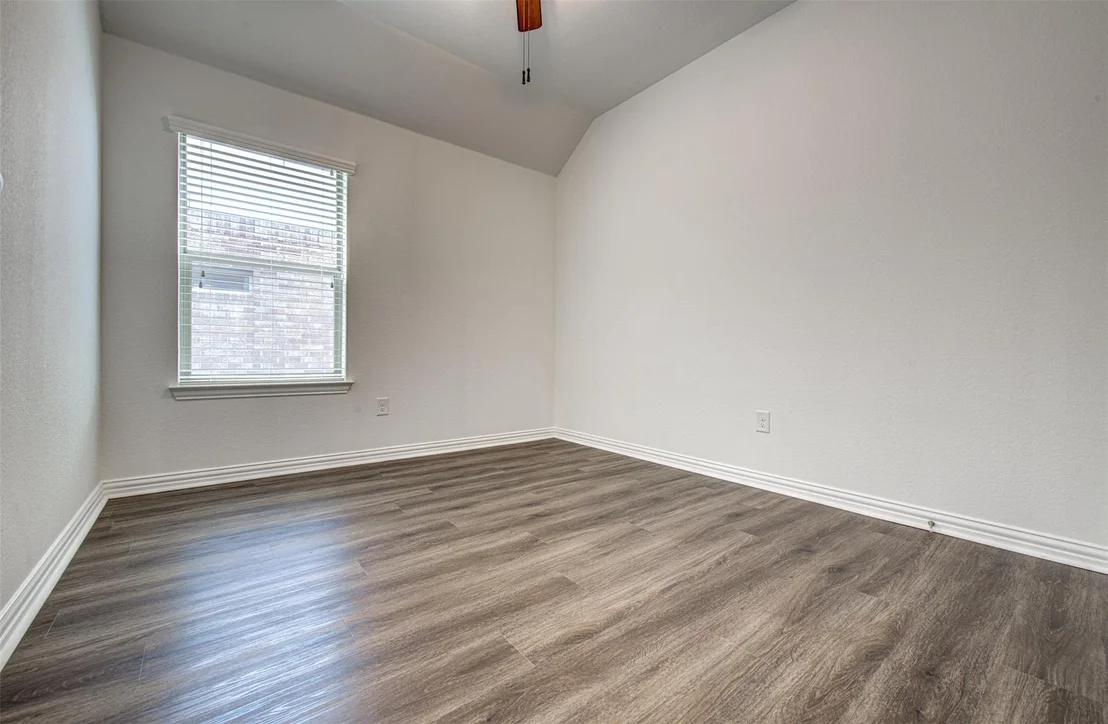 Photo of 306 Snow Owl HOLW