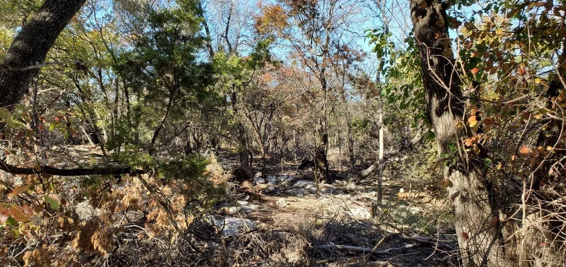 Photo of 5500 Cliff LN