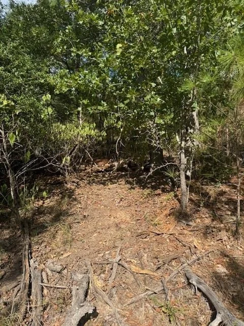 Photo of Lots 1338 and 1339 Tahitian DR