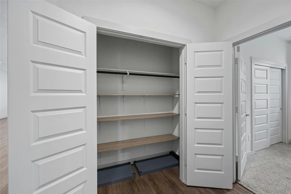Photo of 141 Parryi CV