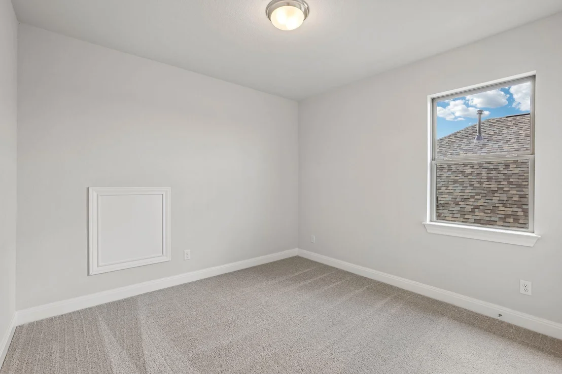 Photo of 214 Prickly Poppy LOOP