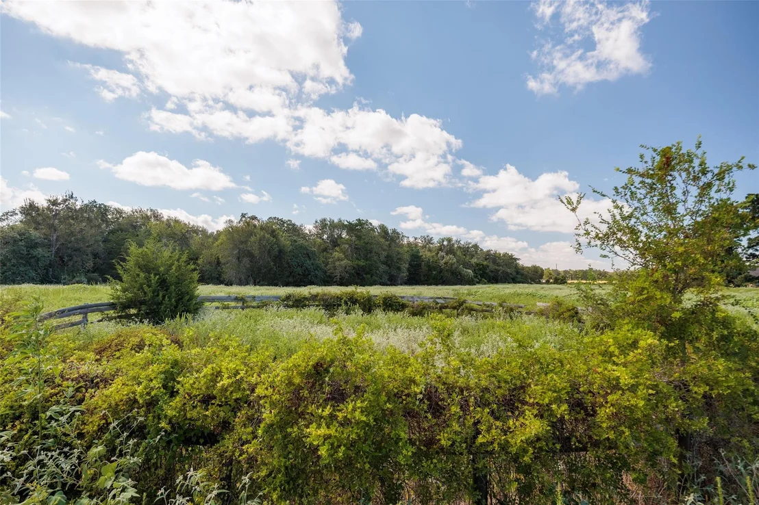 Photo of 161 County Road 441