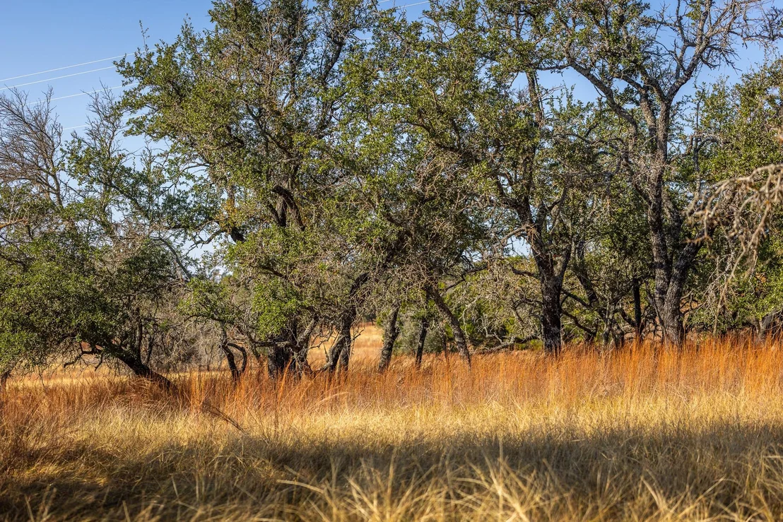 Photo of 1260 County Road 2001