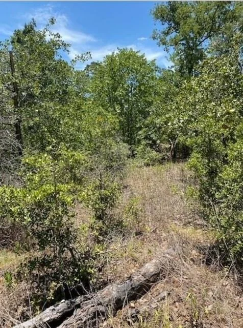 Photo of Lot 1123 Koali DR