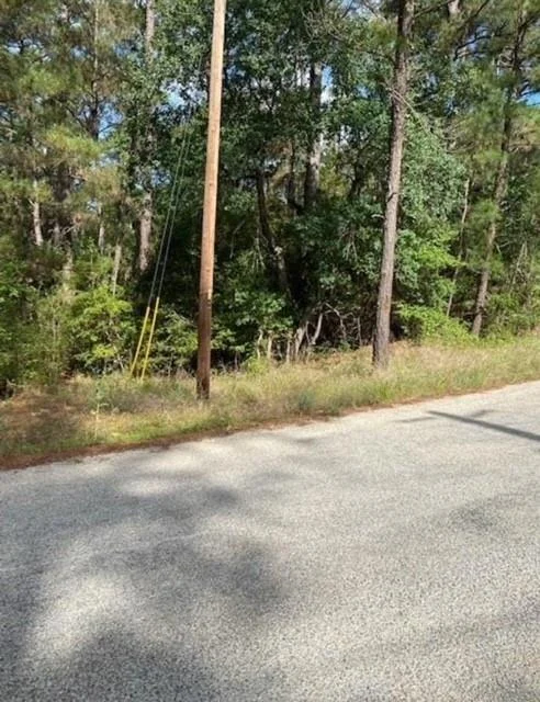 Photo of Lot 93 Papawai DR