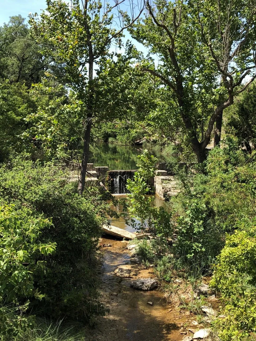 Photo of 100 Dario DR