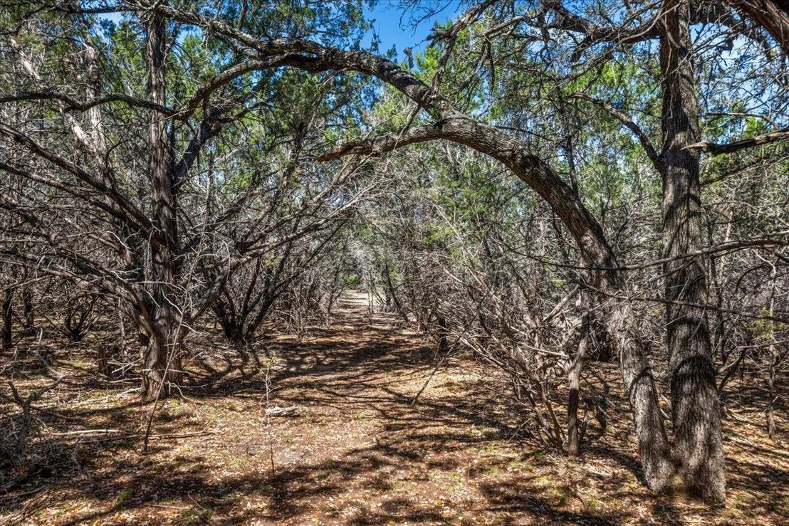 Photo of 25723 Hamilton Pool RD