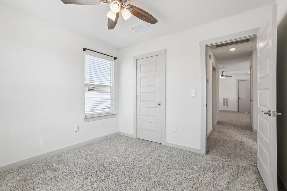 Photo of 285 Geminiflora BND
