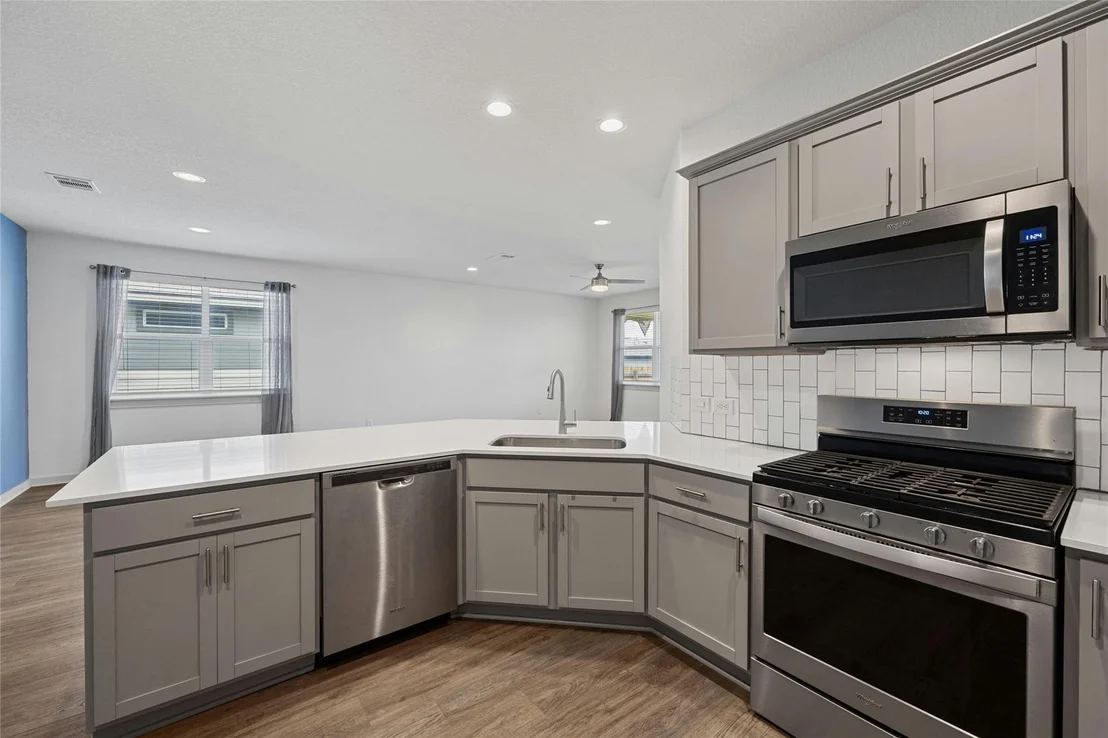 Photo of 141 Parryi CV