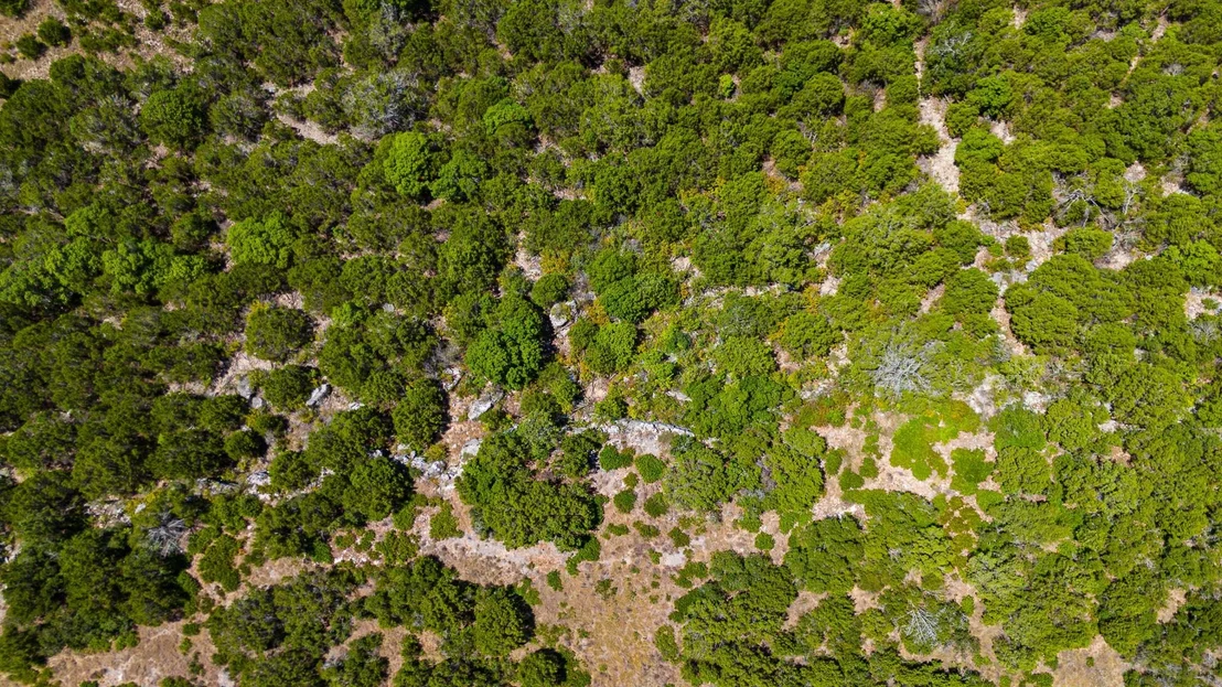 Photo of Lot 64 Blakley RD
