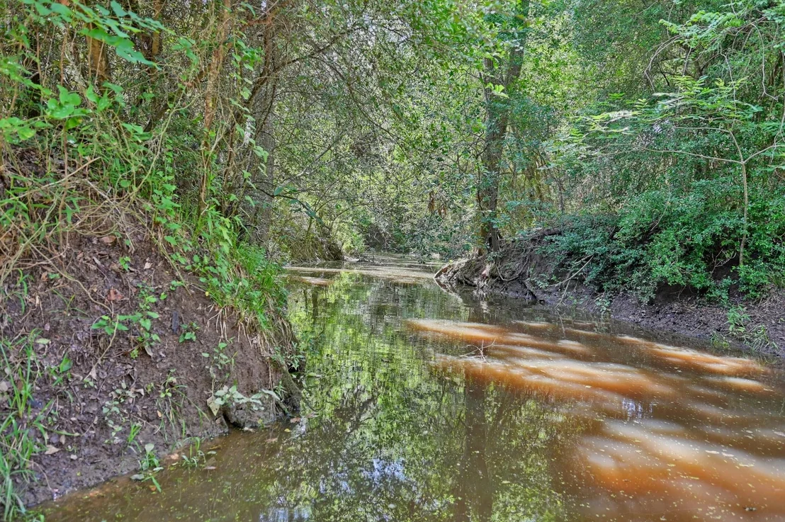 Photo of 1368 County Road 207