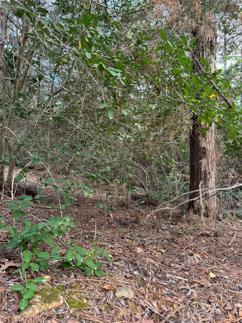 Photo of Lots 158 and 159 Hekili DR