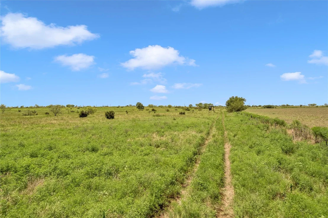 Photo of 11064 County Road 210 RD