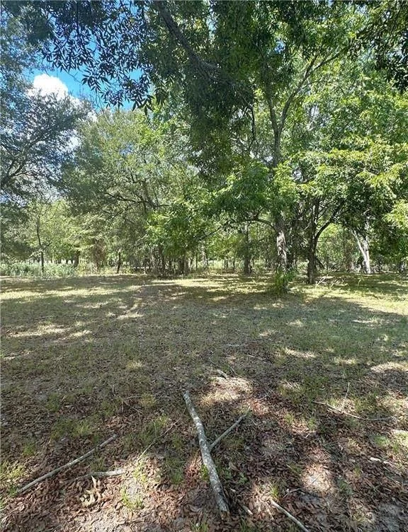 Photo of 853 County Road 206