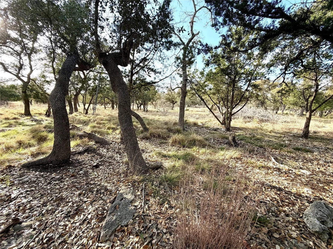 Photo of 1358 County Road 233 RD
