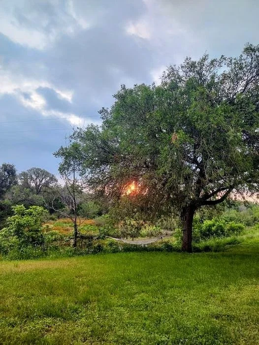 Photo of 915 County Road 404