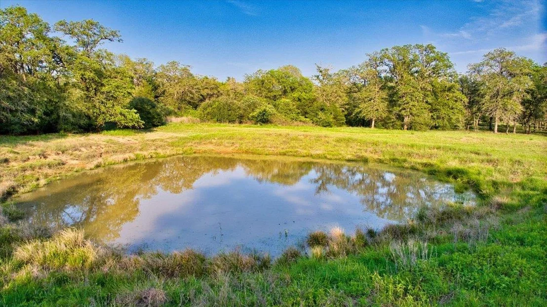 Photo of 2095 County Road 442
