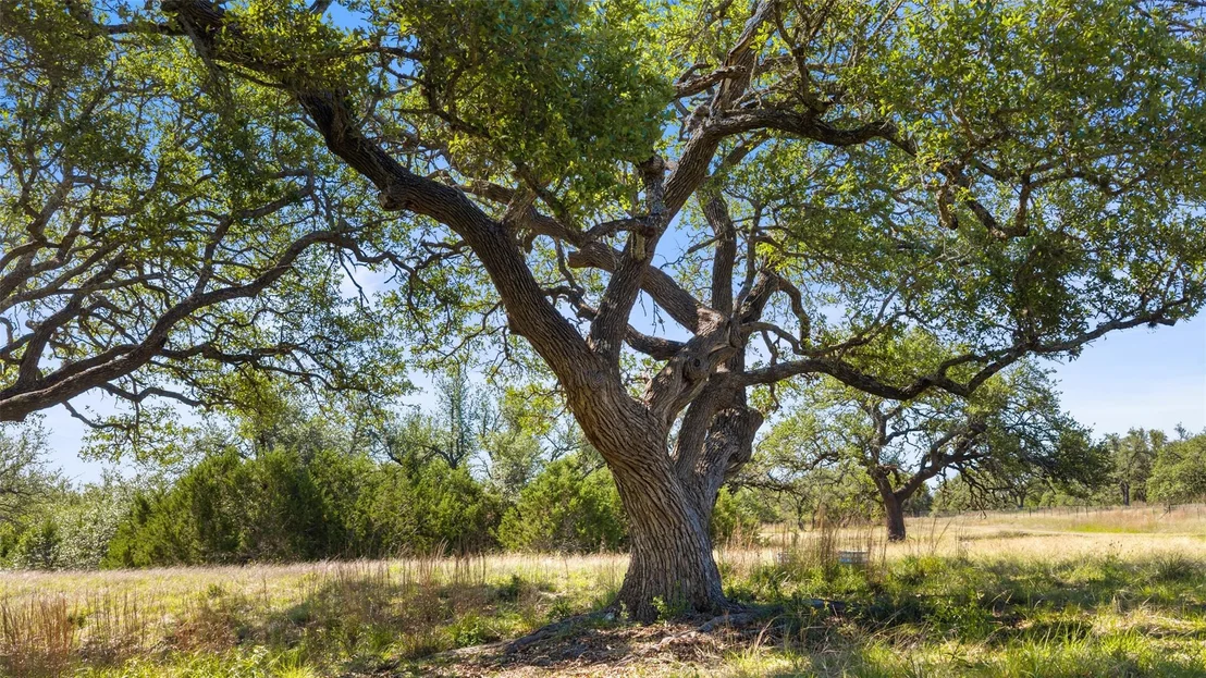 Photo of 6590 US 290