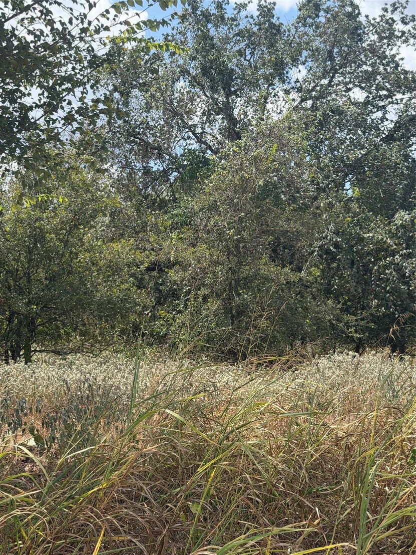 Photo of Lot 678 Kawainui LN