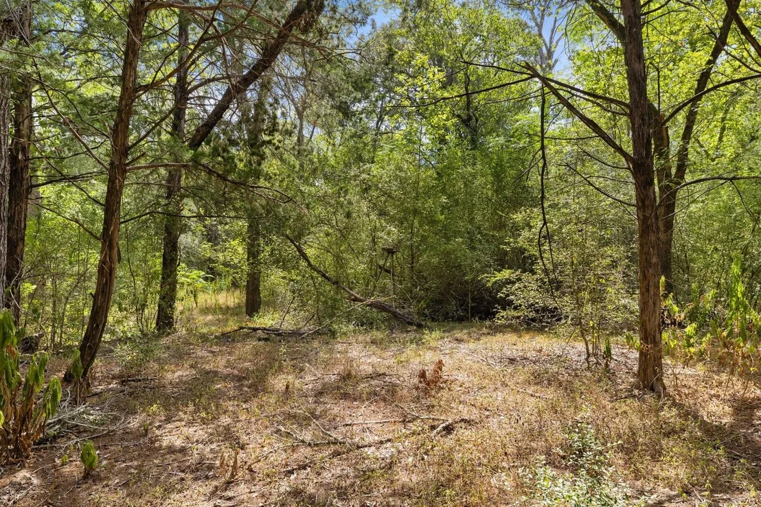 Photo of 242 Cody LN