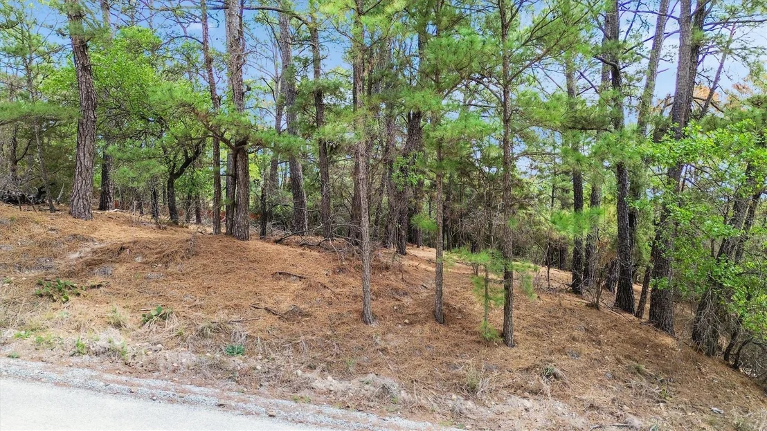 Photo of 141 Kamaiki DR