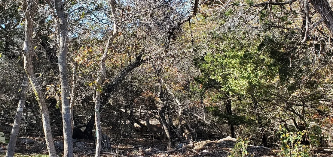Photo of 5500 Cliff LN